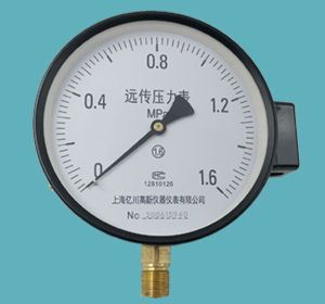 遠傳壓力表