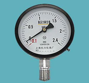 2 YA系列氨用壓力表
